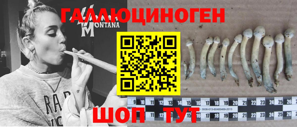 Галлюциногенные грибы Cubensis Городец