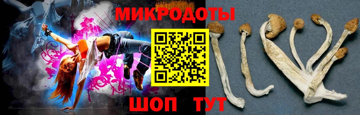 Городец  Галлюциногенные грибы прущие грибы  Вход с VPN 